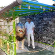 ���������� ������, ���� ������� ���������, 44 ����, ������������ ��� ������, ����� � ���������, c�������� ���������, ���������