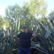 ���������� �����-���������, ���� ������� ������, 60 ���, ������������ ��� ����� � ���������, c�������� ���������