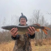 ���������� ����� �������, ���� ������� �������, 53 ����, ������������ ��� ������, ����� � ���������, c�������� ���������