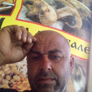  --,   , 48 ,   ,   , c 
