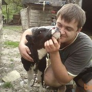 ���������� ������������, ���� ������� �����, 40 ���, ������������ ��� ������, ����� � ���������, c�������� ���������