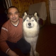  ,   RU, 43 ,   ,   , c 