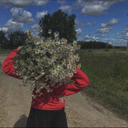 ���������� ������, ���� ������� �������, 24 ����, ������������ ��� ������, ����� � ���������