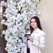 ���������� ���������, ���������