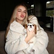 ���������� �����-���������, ��������