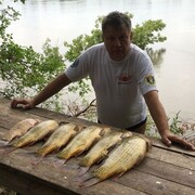  ,   , 62 ,   ,   