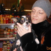 ���������� �����, ���� ������� ����, 47 ���, ������������ ��� ������, ����� � ���������, c�������� ���������