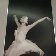 ���������� �������, ���� ������� George, 41 ���, ������������ ��� ������, ����� � ���������, c�������� ���������