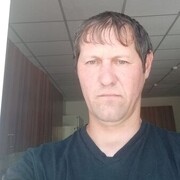  ,  , 43