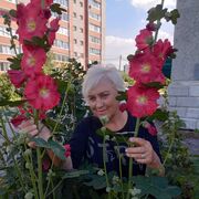  ,   , 63 ,   ,   , c , 