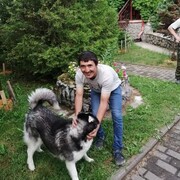   ,   , 29 ,   ,   , c , 
