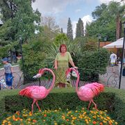  ,   , 62 ,   c 