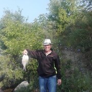  ,   , 58 ,     