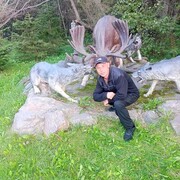 ���������� ��������, ������� ���������, 39