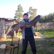  ,   , 40 ,   ,   , c 