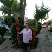  ,   , 64 ,   