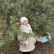 ���������� ������ ��������, ���� ������� ���������, 67 ���, ������������ ��� ������, ����� � ���������