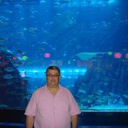 ���������� �������, ���� ������� Never, 54 ����, ������������ ��� ������