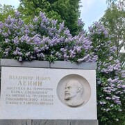 ���������� ������, ���� ������� �������, 46 ���, ������������ ��� ������, ����� � ���������