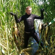 ���������� ���������, ���� ������� ������, 39 ���, ������������ ��� ������, ����� � ���������, c�������� ���������