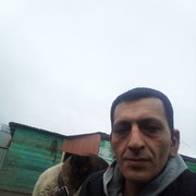  -,   , 46 ,   ,   , c 