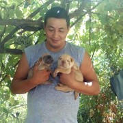 ���������� �������, ���� ������� ��������, 46 ���, ������������ ��� ������, ����� � ���������, c�������� ���������, ���������