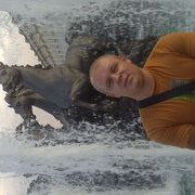 ,  , 41