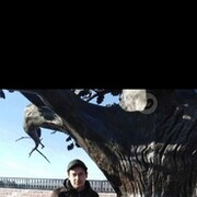 ���������� ����-�����, ���� ������� ����, 51 ���, ������������ ��� ������, ����� � ���������, c�������� ���������, ���������