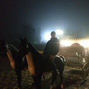 ���������� ������, ���� ������� ������, 37 ���, ������������ ��� ������, ����� � ���������, ���������