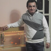   ,   Vartan, 50 ,   ,   , c 