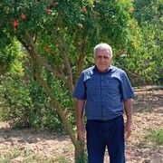 ���������� ����, ���� ������� Akif, 66 ���, ������������ ��� ������, ����� � ���������, c�������� ���������