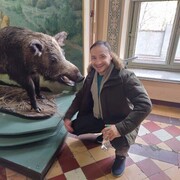 ���������� �������, ���� ������� �����, 41 ���, ������������ ��� ������, ����� � ���������