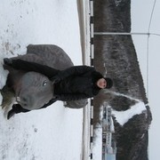 ���������� ������ ��������, ���� ������� �����, 38 ���, ������������ ��� ����� � ���������, c�������� ���������