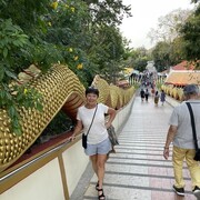  -,   , 68 ,     , c 