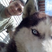 ���������� ���������, ���� ������� �������, 31 ���, ������������ ��� ������, ����� � ���������, c�������� ���������