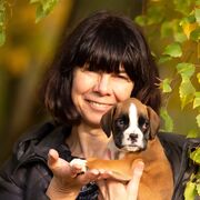  ,   , 56 ,   ,   , c 