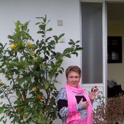  ,   , 60 ,   ,   , c 