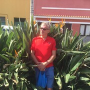  Weston,   Arnis, 55 ,     , c 