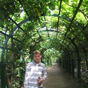 ���������� ������, ���� ������� ����, 37 ���, ������������ ��� ���������