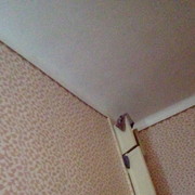  ,   , 44 ,   