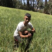 ���������� ������, ���� ����� Yassin, 19 ���, ������������ ��� ������, ����� � ���������