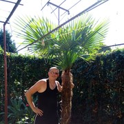 ���������� ���������, ���� ������� ��������, 44 ����, ������������ ��� ������, ����� � ���������, c�������� ���������