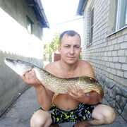 ���������� ���������, ������� �����, 38