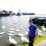 ���������� �����������, ���� ������� Alexand, 33 ����, ������������ ��� ������, ����� � ���������, c�������� ���������, ���������