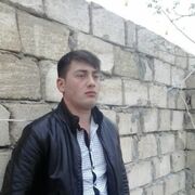 ���������� ����, ���� ������� Ferid, 35 ���, ������������ ��� ������, ����� � ���������