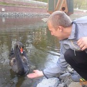 ���������� ������, ���� ������� ������, 33 ����, ������������ ��� ������, ����� � ���������, c�������� ���������