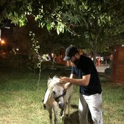 ���������� ������, ���� ������� �����, 26 ���, ������������ ��� ������, ����� � ���������