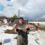 ���������� ������, ���� ������� ����, 44 ����, ������������ ��� ������, ����� � ���������