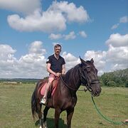  ,   , 36 ,     , c , 