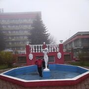 ���������� ������������, ���� ������� ���������, 55 ���, ������������ ��� ������, ����� � ���������